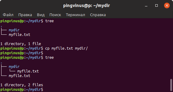 как скопировать содержимое папки в другую папку linux