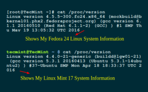 Shows Linux System Information1 1
