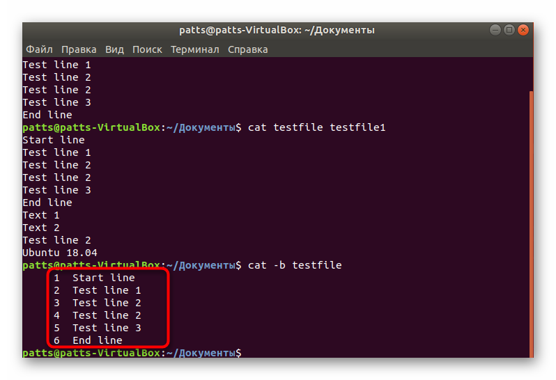 Наглядный пример нумерации в Linux через команду cat