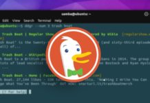 DuckDuckgo прямо в вашем терминале