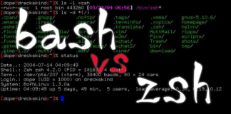 Z Shell vs Bash