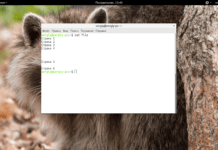cat в Linux — всё что нужно знать