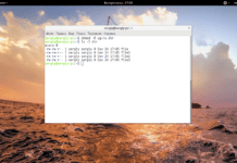 chmod linux — описание и примеры использования
