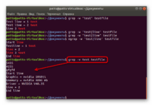 Команда grep в операционных системах Linux позволяет производить поиск по содержимому файлов с применением различных аргументов для упрощения выполнения задачи