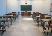 МШП: ваш старт в новую профессию и развитие творческих навыков
