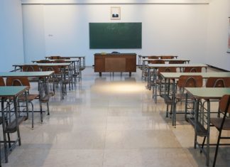 МШП: ваш старт в новую профессию и развитие творческих навыков